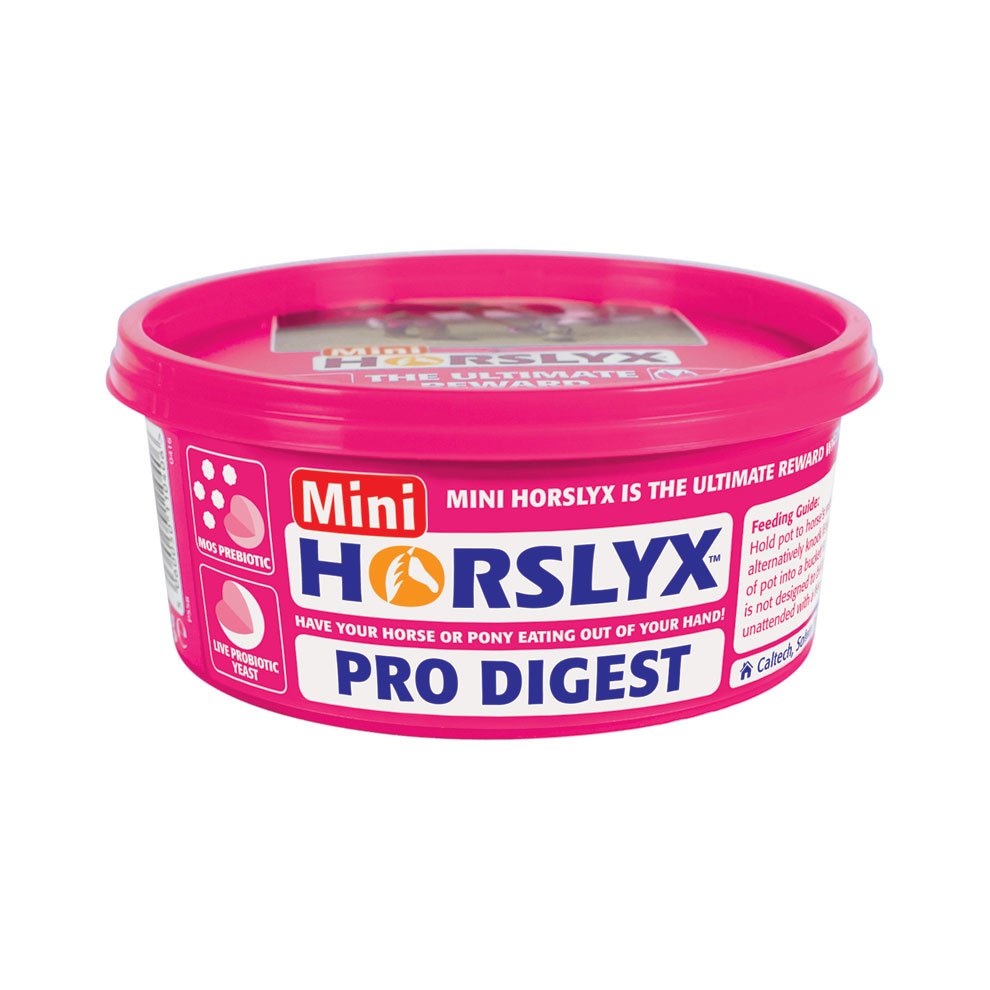 Horslyx Pro Digest Balancer Lick 650g