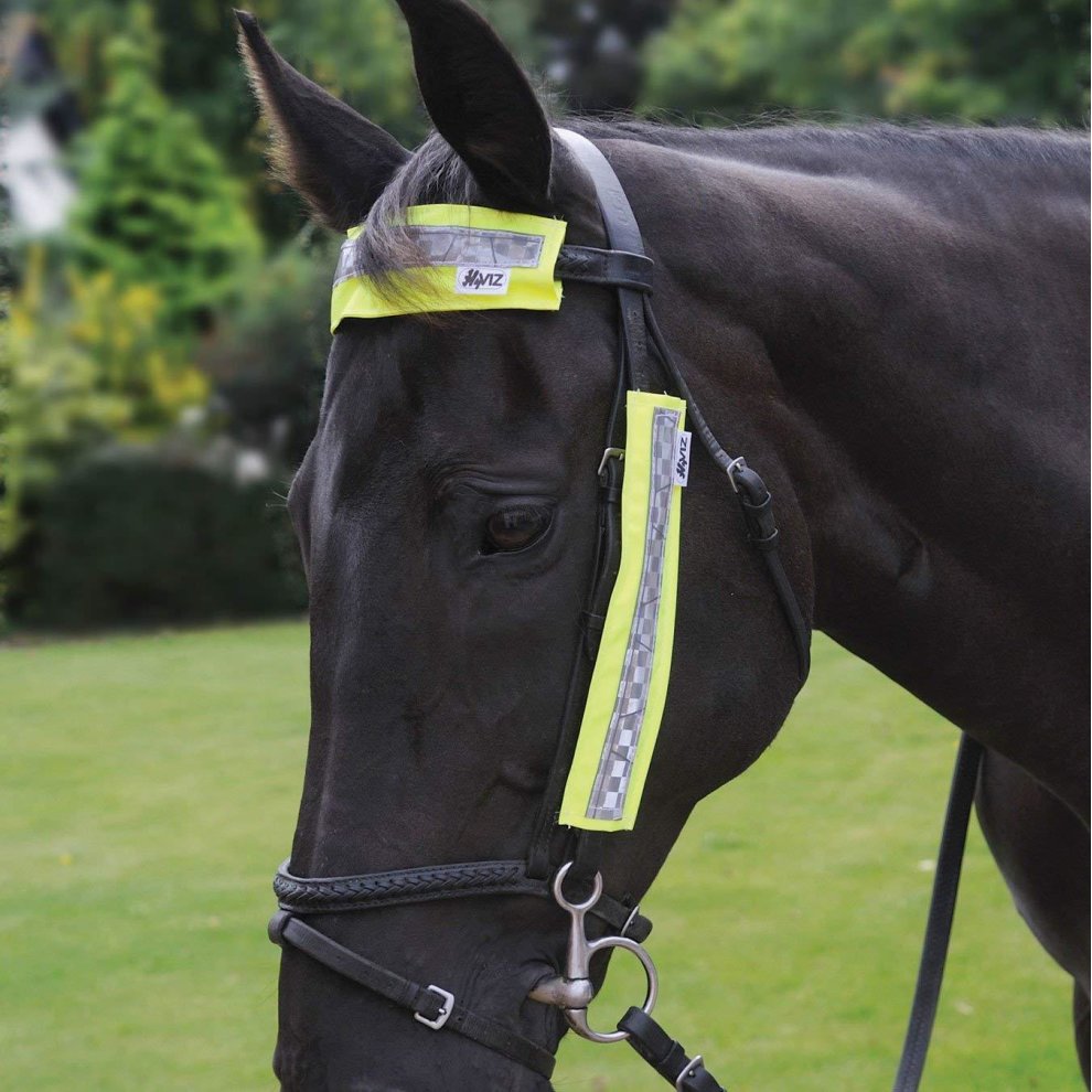 Hy Equestrian Hi Viz Bridle Set