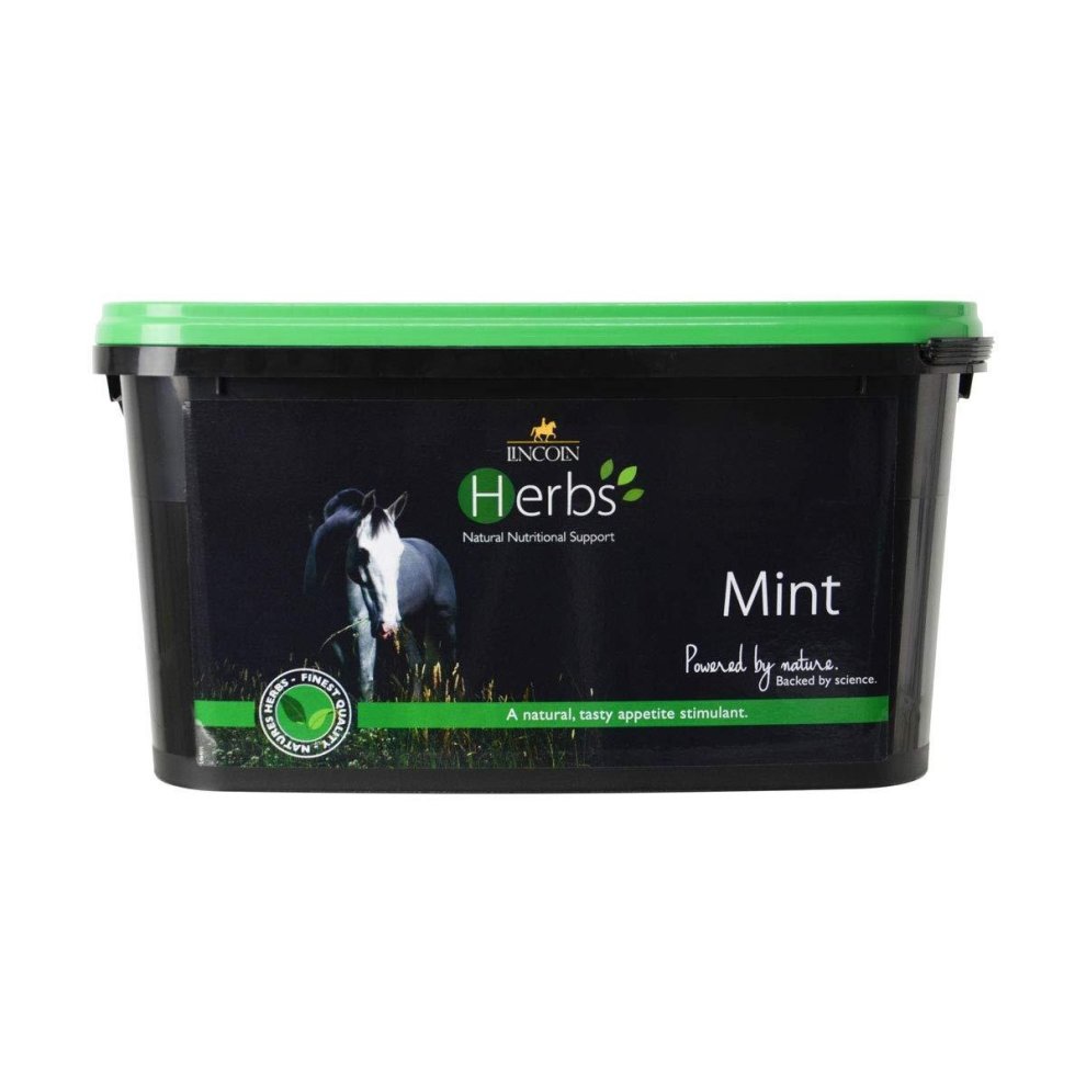 Lincoln Herbs Mint 1kg