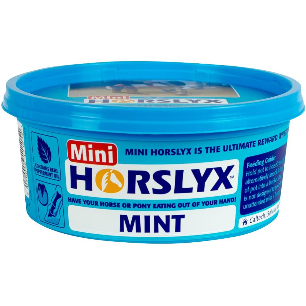 Horslyx Mint Balancer Lick 650g