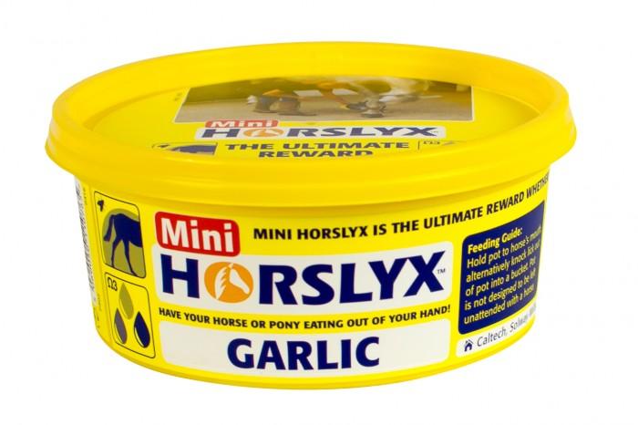 Horslyx Garlic Balancer Lick 650g